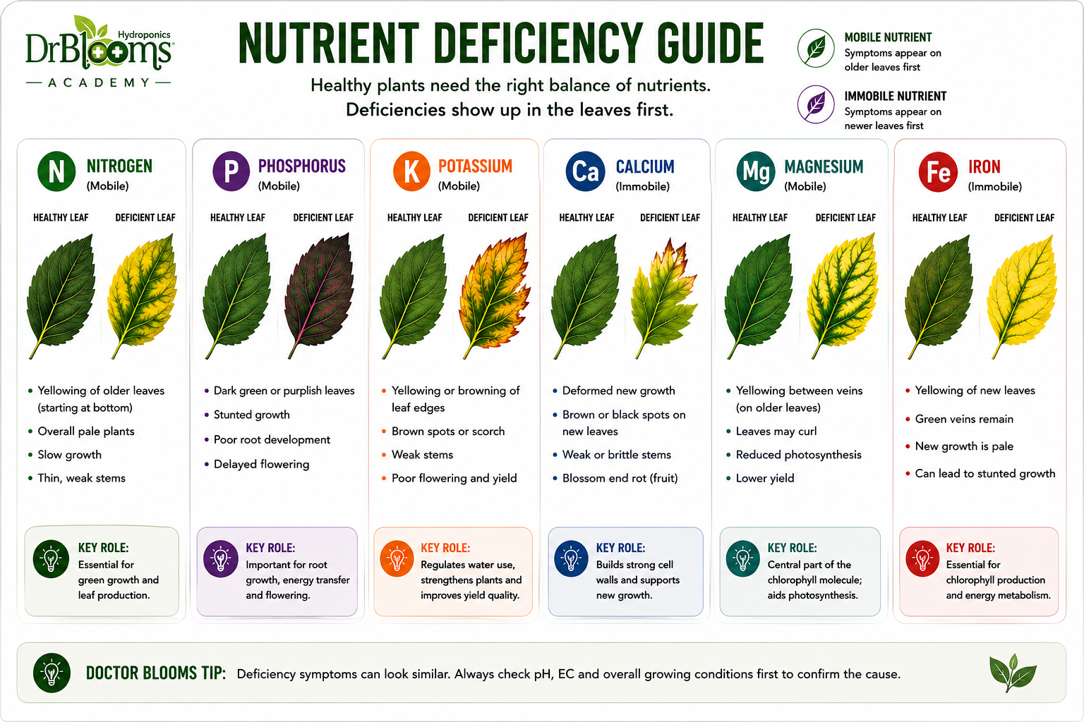 Nutrient Deficiencies