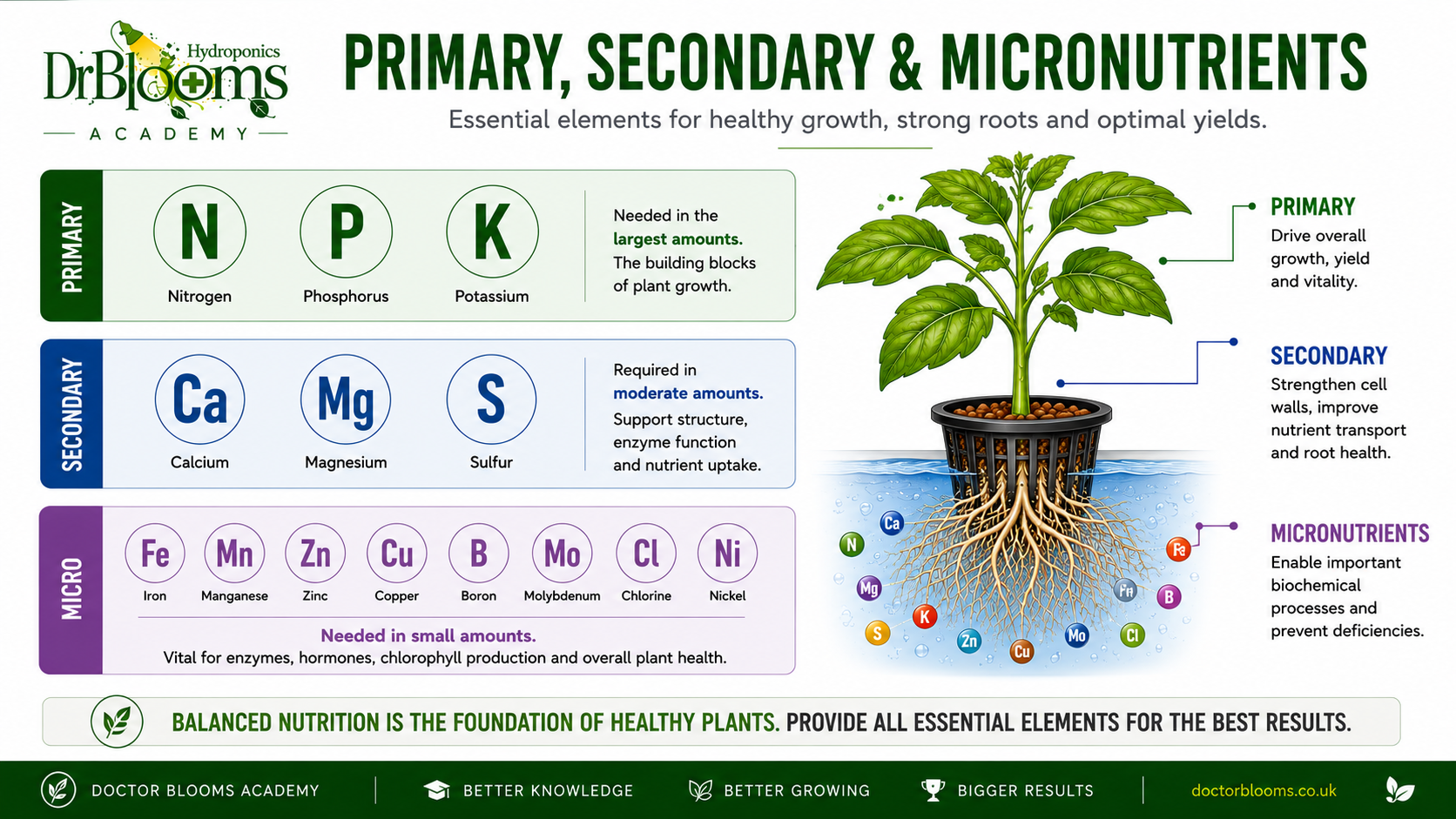 Primary, Secondary and Micronutrients