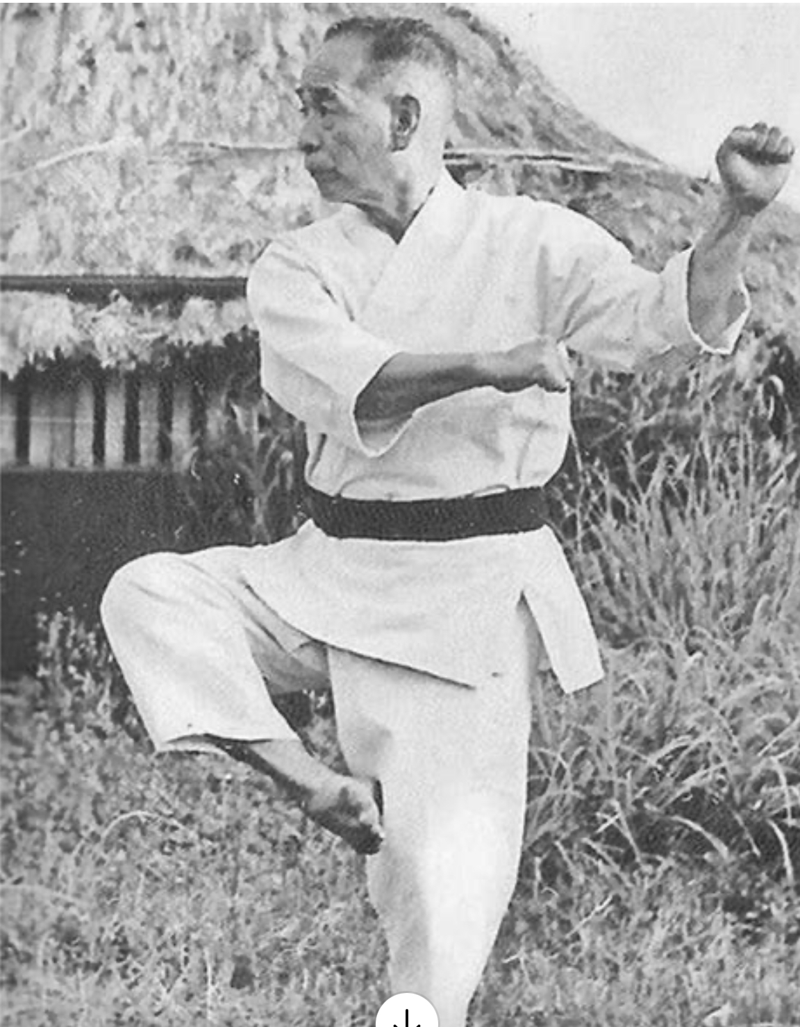 Kata Useless or Misunderstood 