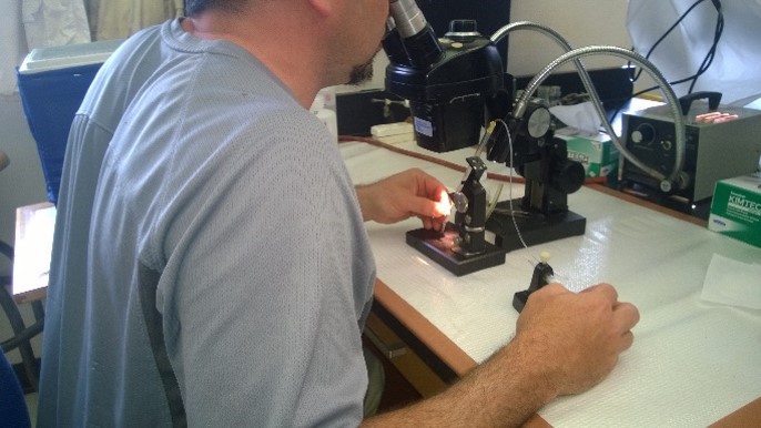 Knowledge Exchange in Baton Rouge