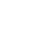 Our Vision
