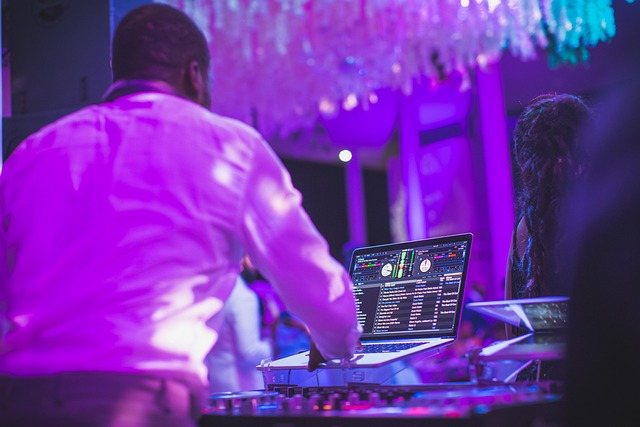 Elite party guests enjoying Party Echelon live show with premium production