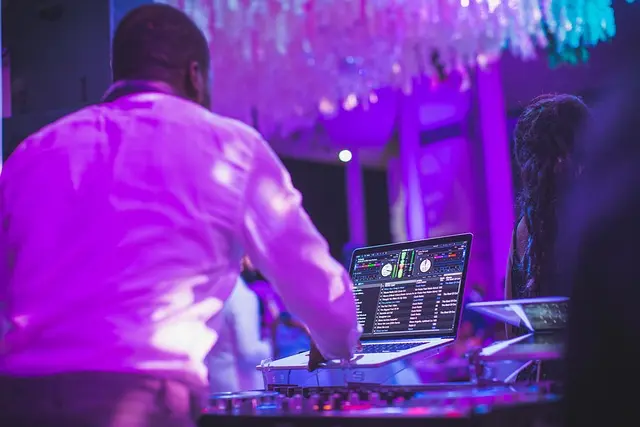 Elite party guests enjoying Party Echelon live show with premium production