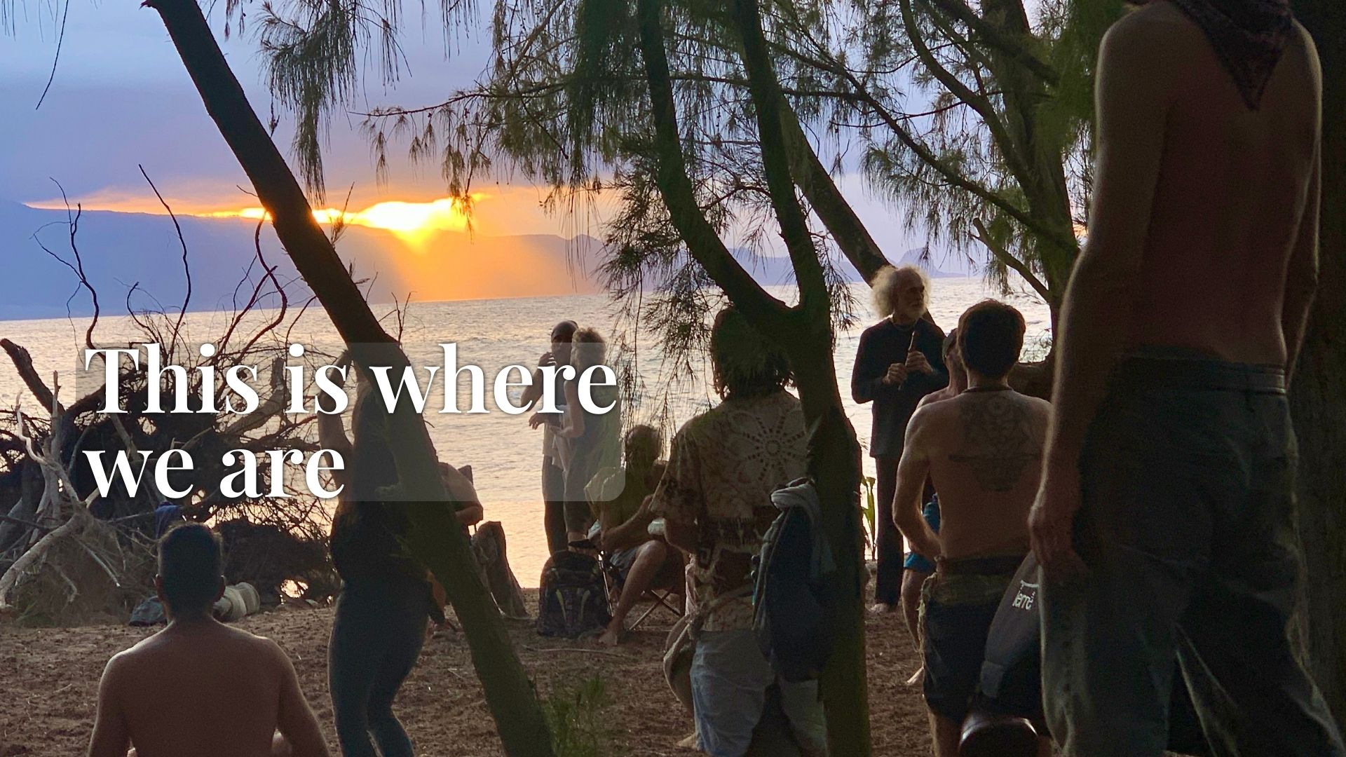 People gathered beneath trees at sunset, with warm light filtering through branches and the ocean visible beyond, creating a calm and grounded atmosphere.