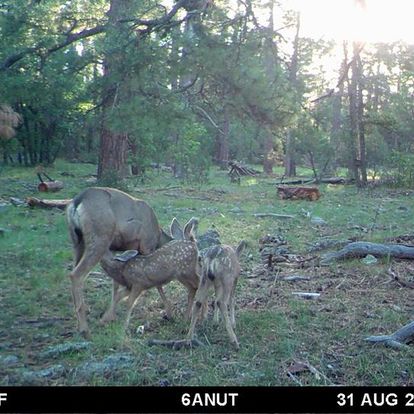 5 Reasons Why Data Integrity is Your Most Valuable Asset