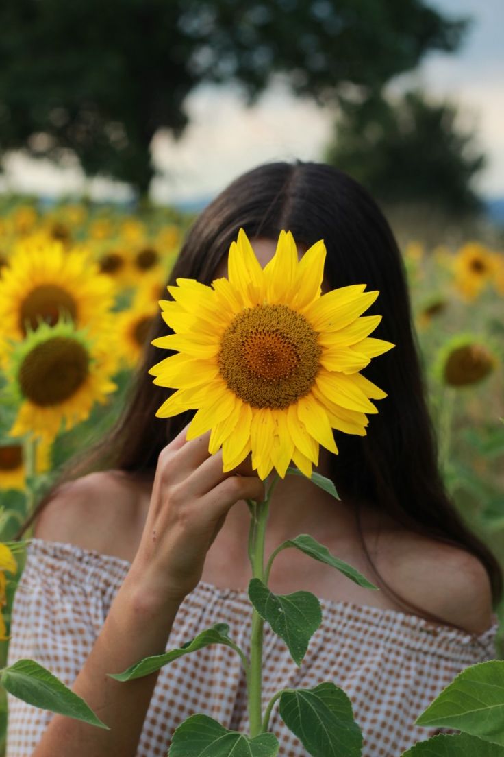 Be A Sunflower