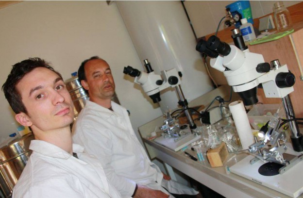 Breeding, Selection & Distribution Project started