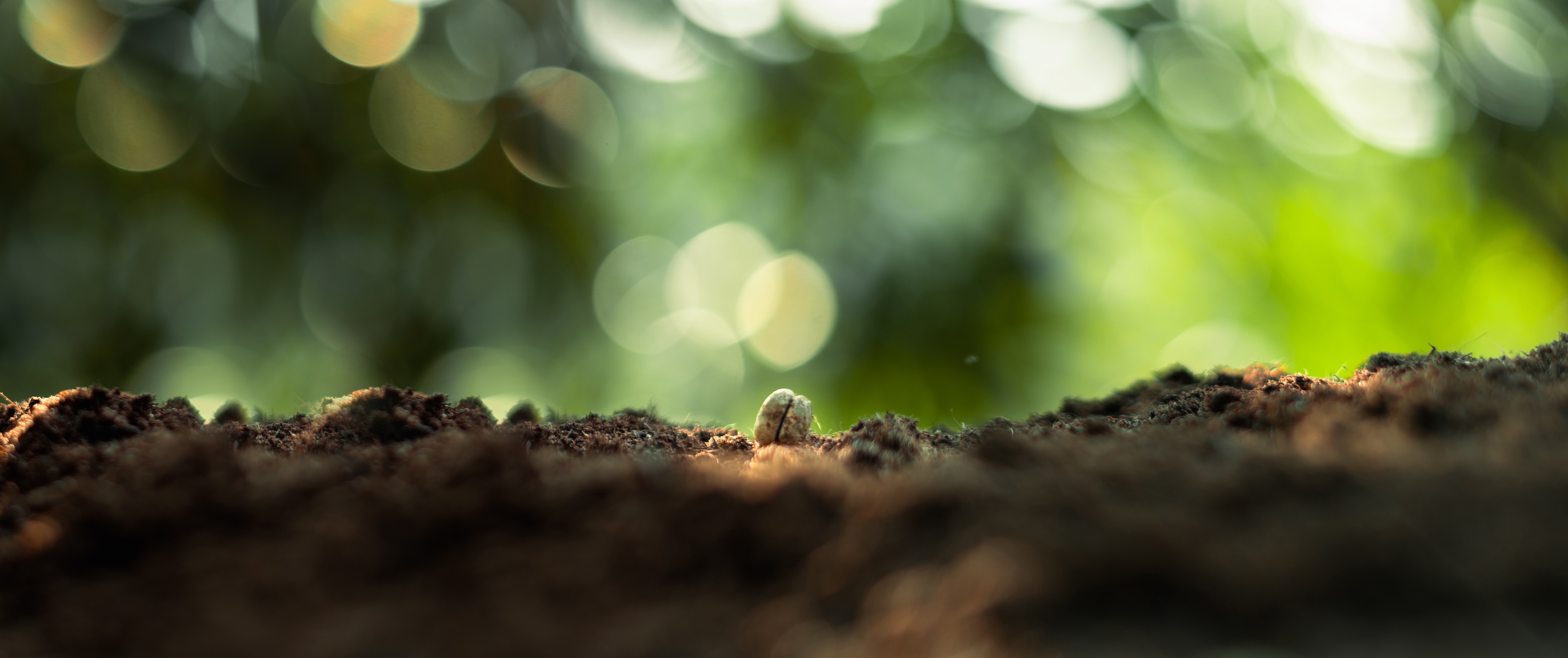 How Does FULVIC Acid Work? [UNDERGROUND]