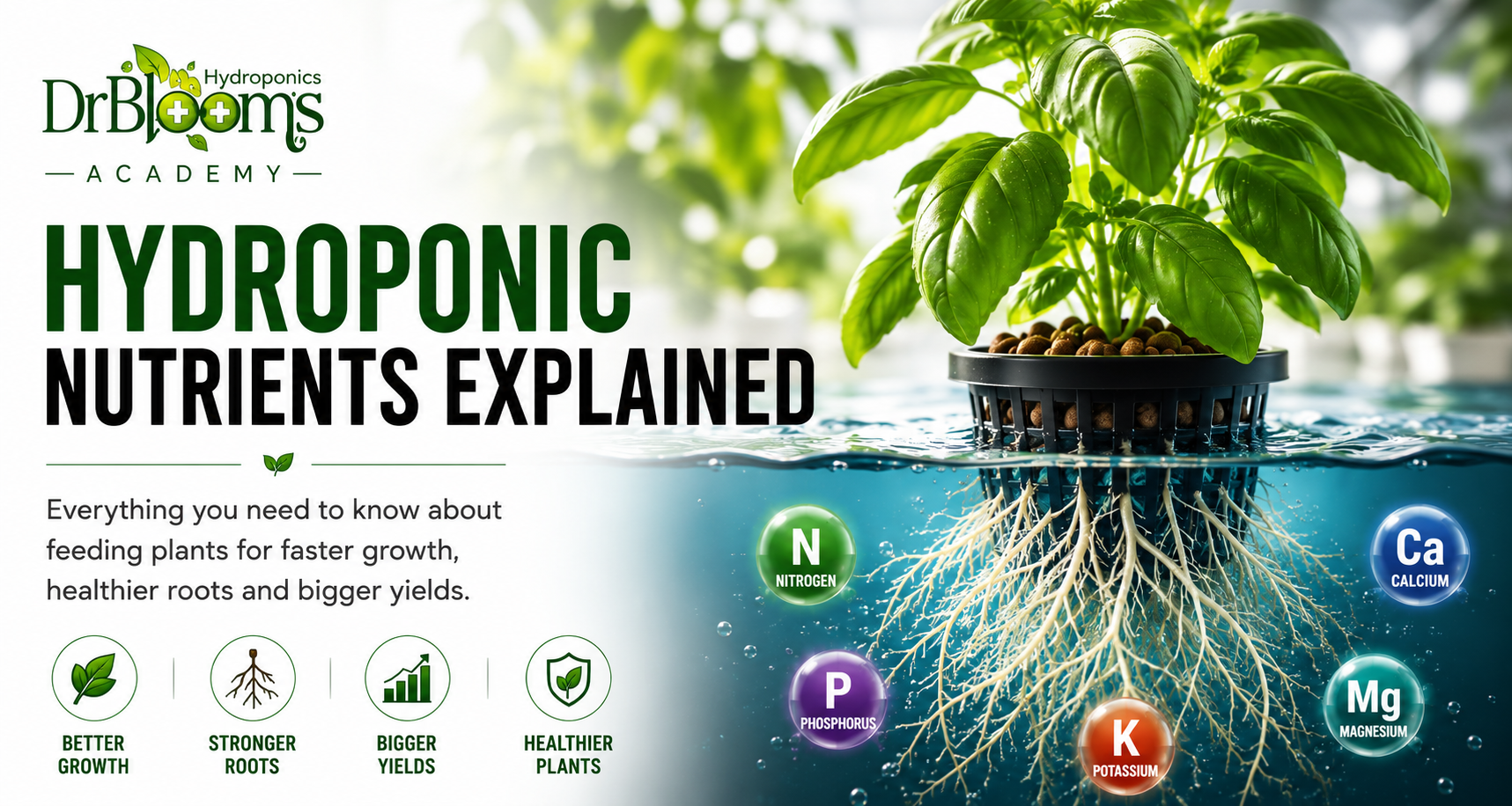 Hydroponic Nutrients Explained
