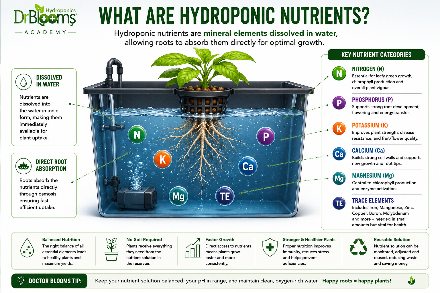 What are Hydroponic Nutrients